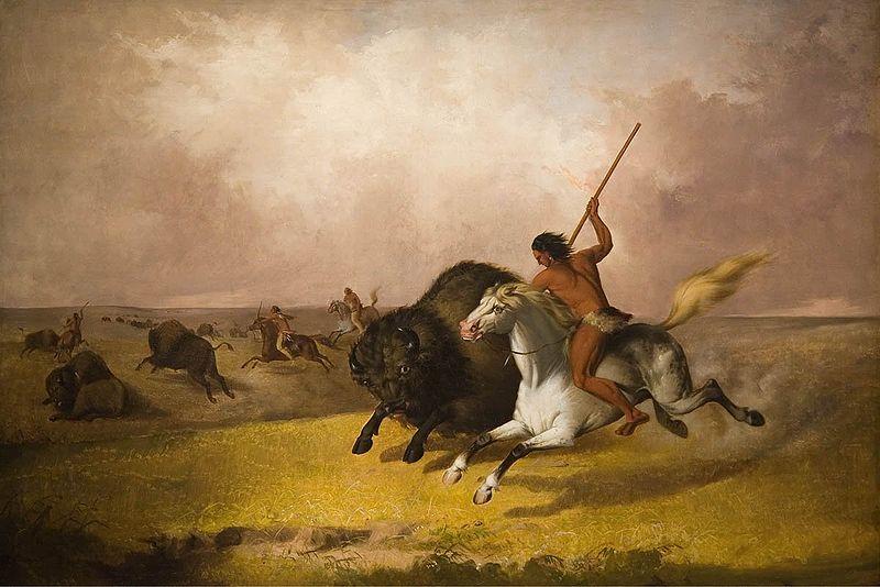 John Mix Stanley Buffalo Hunt on the Southwestern Prairies oil painting image
